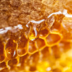 Honeycomb and honey drops closeup